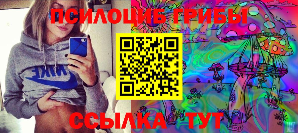 Партизанск  Псилоцибиновые грибы MAGIC MUSHROOMS  Вход с VPN  Галлюциногенные грибы прущие грибы 